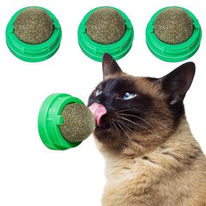 cat_toys