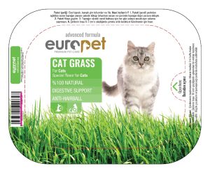 cat grass