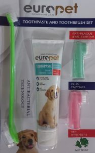 TOOTHPASTE AND TOOTHBRUSH SET-mint